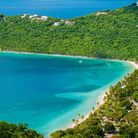 a close up of a hillside next to a body of water