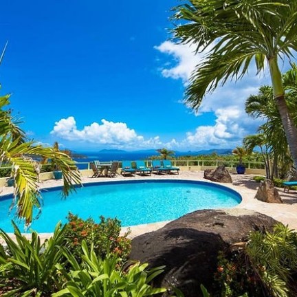 a beach with a palm tree in a pool of water